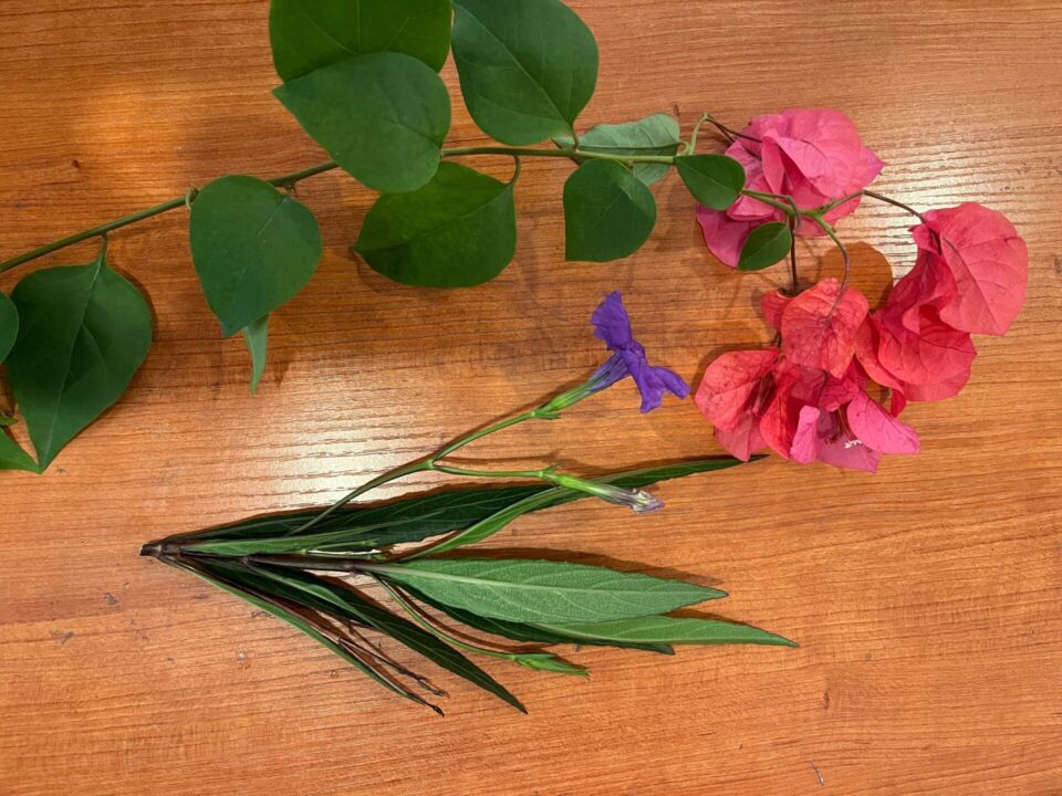 剪定作業で切られたお花をゲット