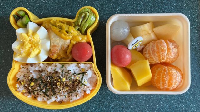 今日のお弁当(3/25)