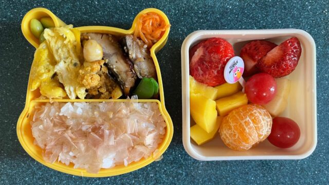 今日のお弁当(4/3)