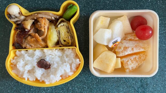 今日のお弁当(4/7)