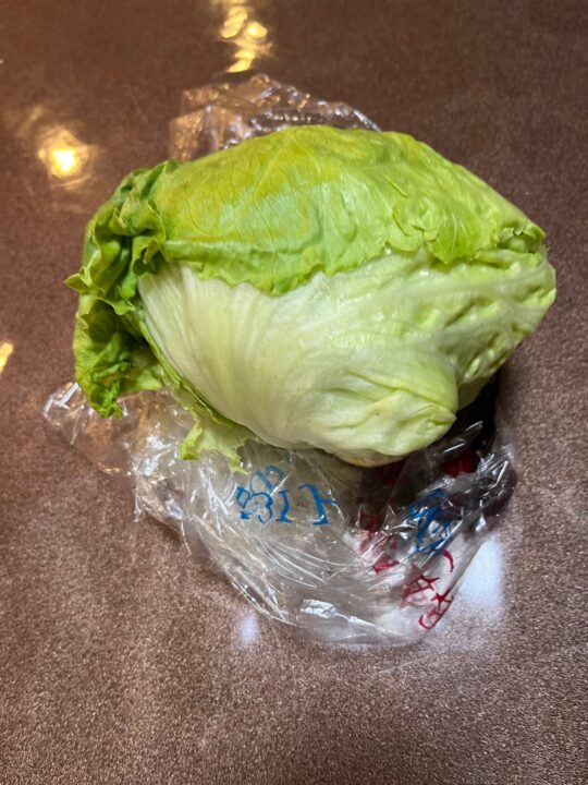 生菜