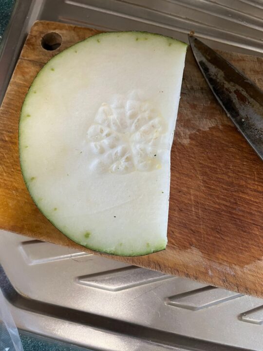 冬瓜