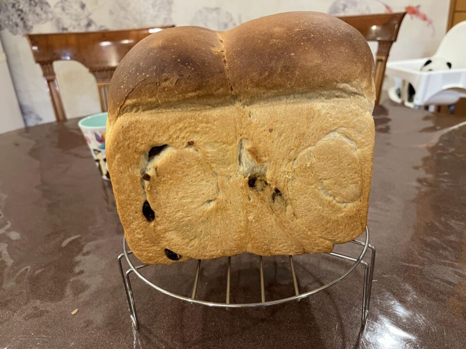 ぶどうパン