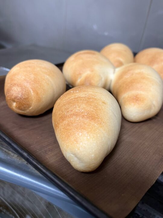 昨晩焼いた、自家製酵母のバターロール