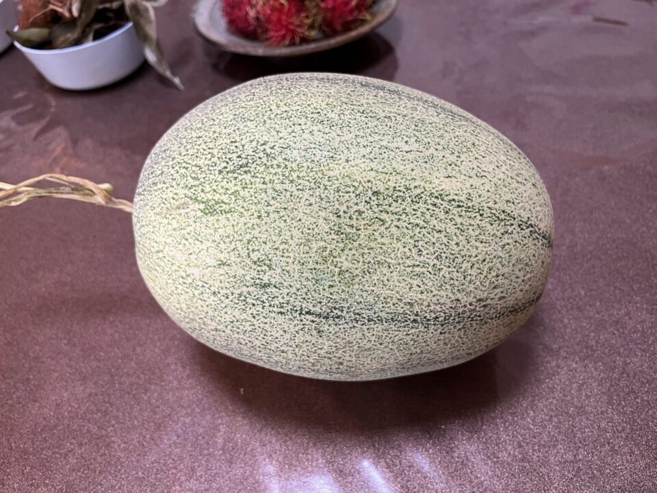 哈蜜瓜