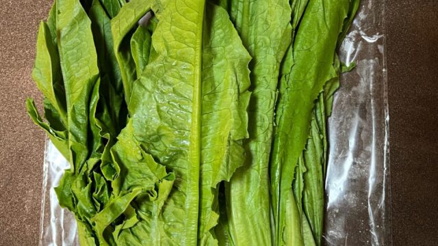 油麦菜