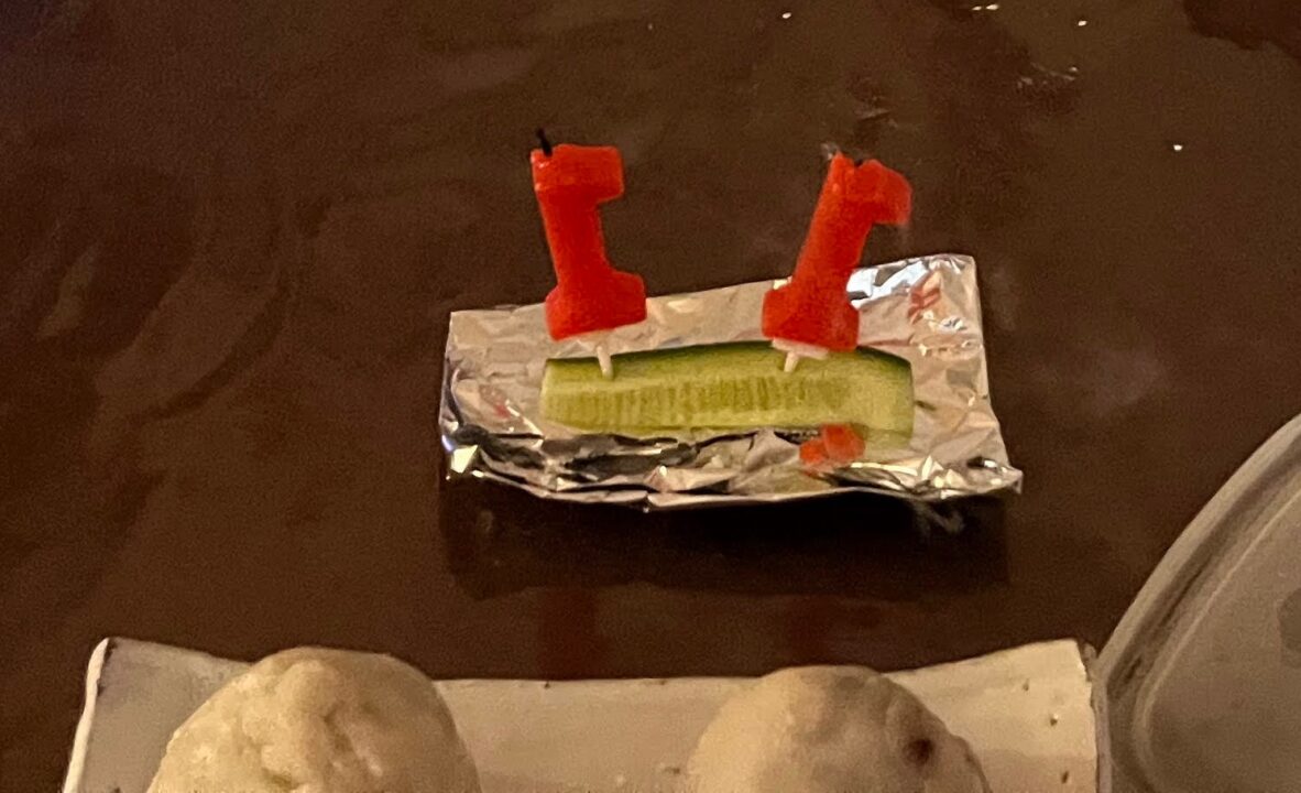 11歳のお誕生日。ろうそくはきゅうりにさしました