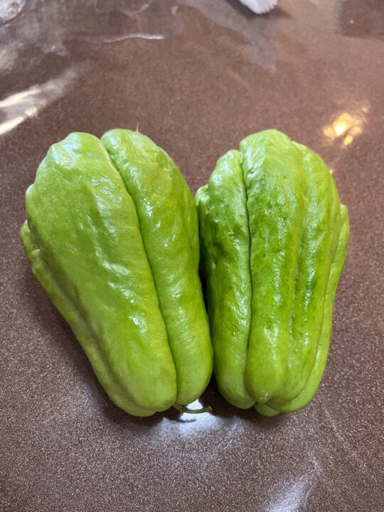 佛手瓜