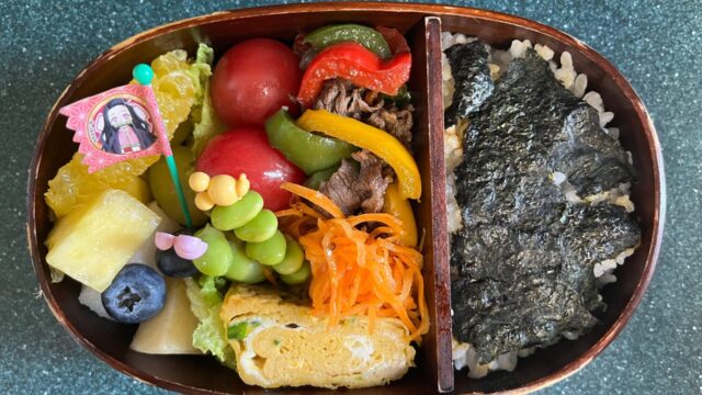 今日のお弁当(6/9)
