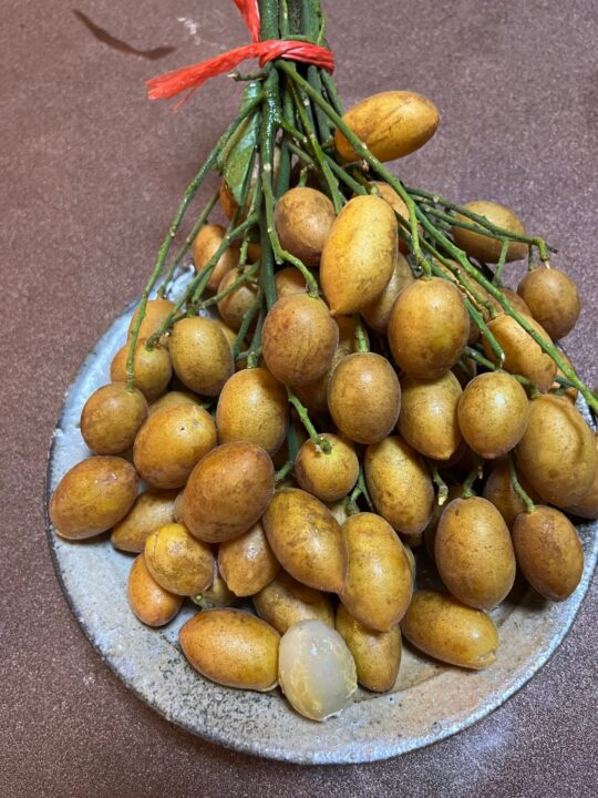 黃皮を食べてみました