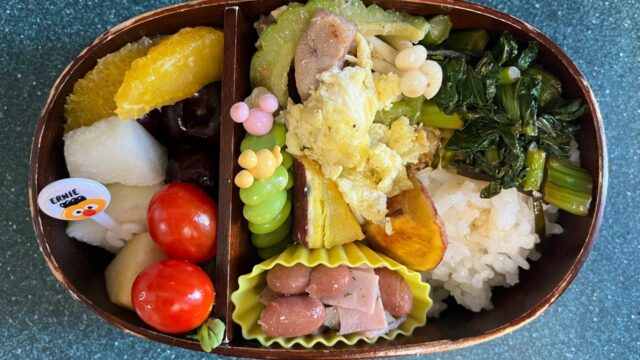 今日のお弁当(8/29)