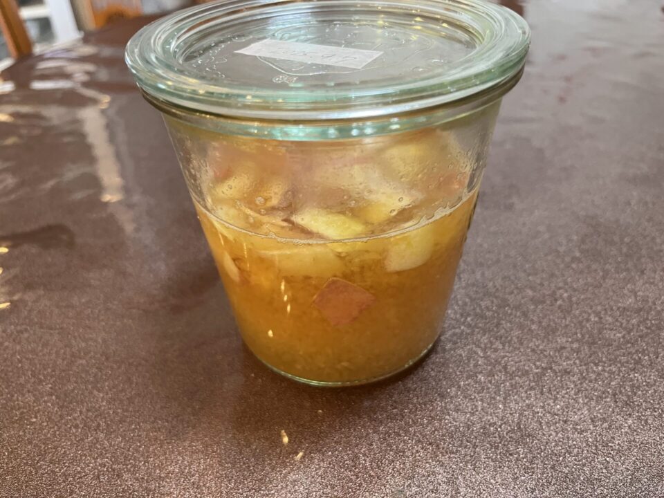りんご酵母1日目