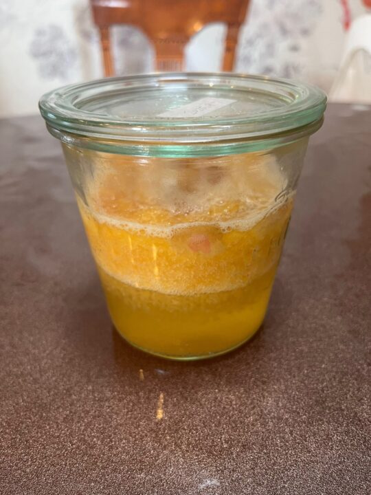 りんご酵母3日目