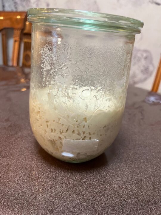 補充した元種