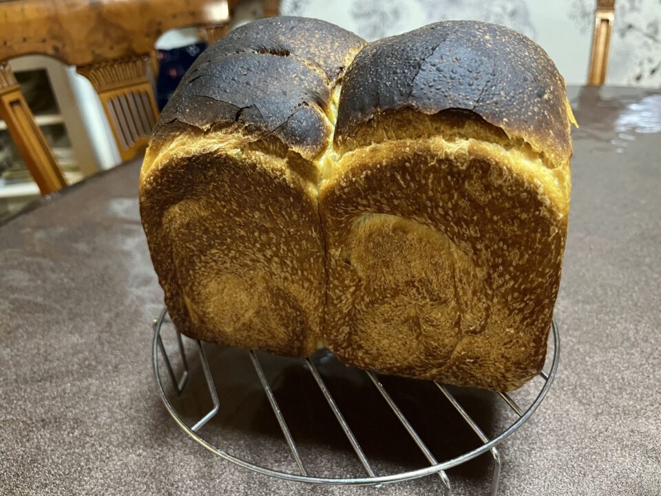 自家製酵母の食パン