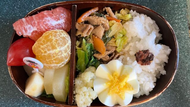今日のお弁当(11/5)