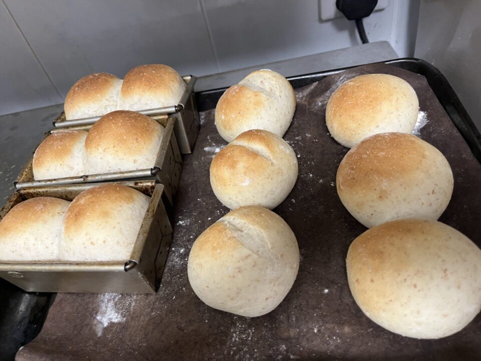 前日焼いたシンプルな丸パン