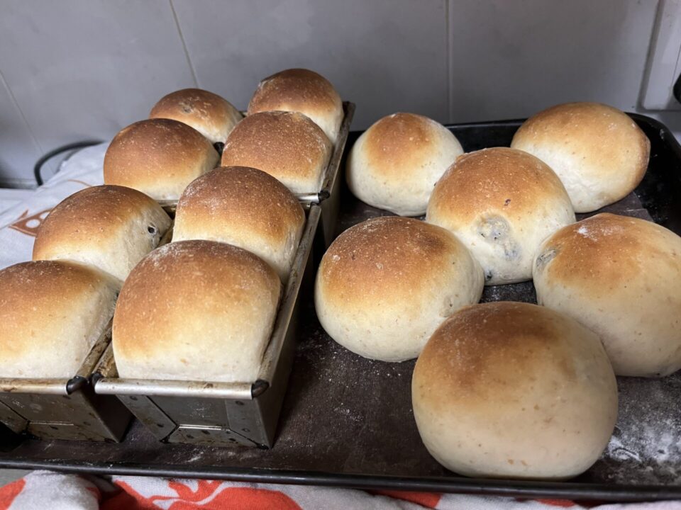 ぶどうパンを焼きました