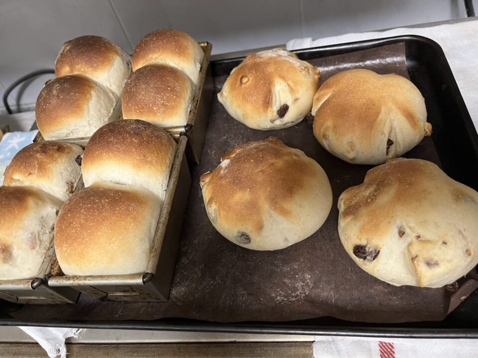 ぶどうパンを焼きました