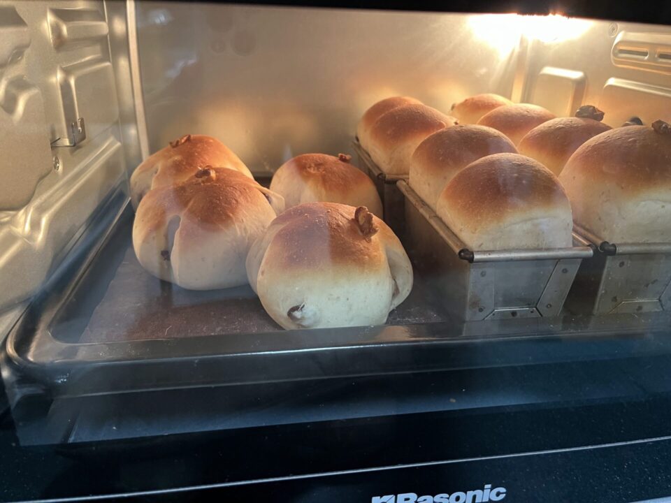 ぶどうパンを焼きました