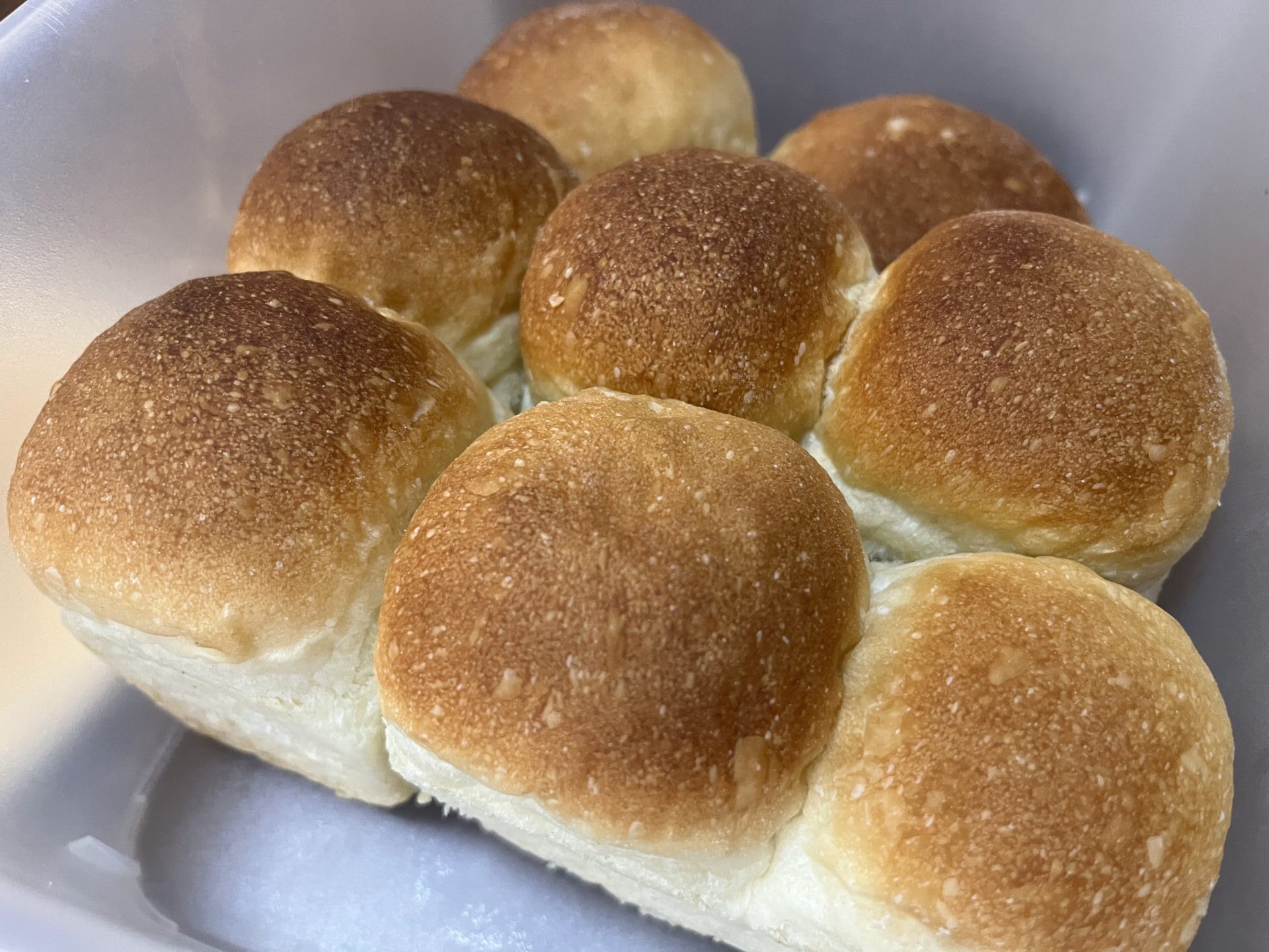 丸パンを焼きました