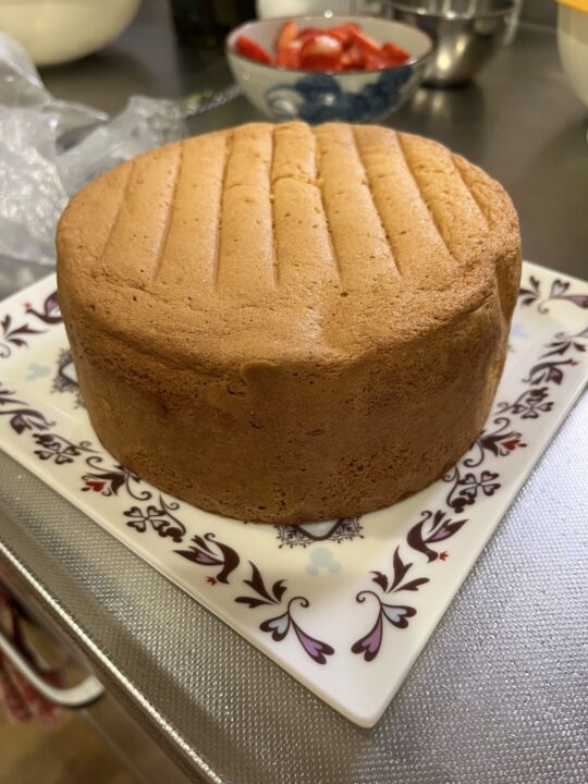 スポンジケーキ