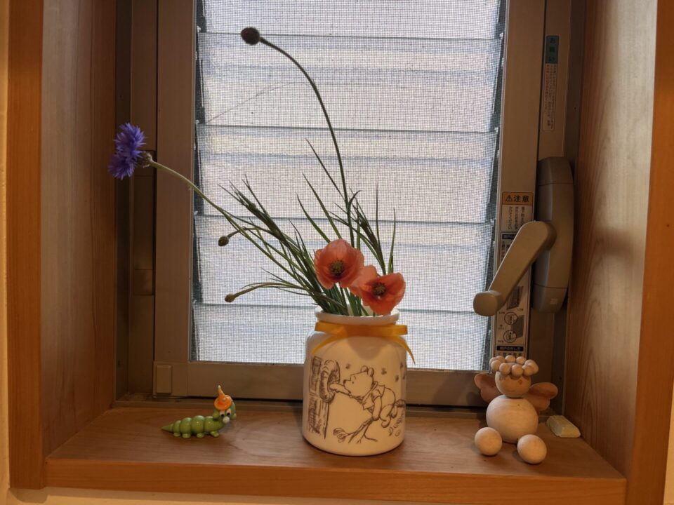 矢車草と姫ひなげし