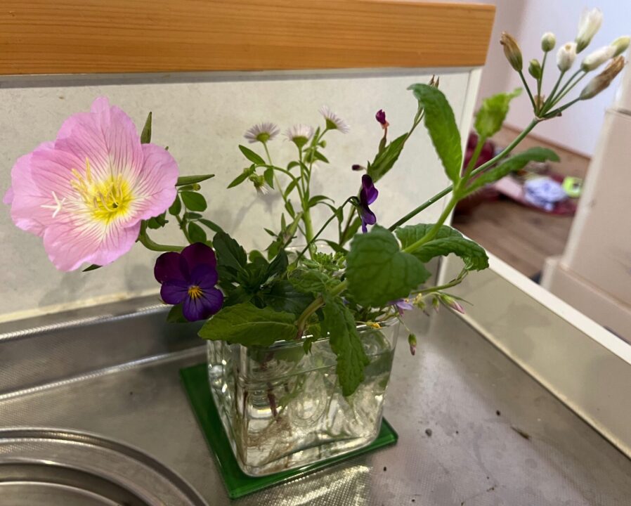野の花
