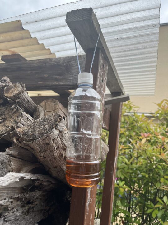 木酢液をぶら下げたペットボトル