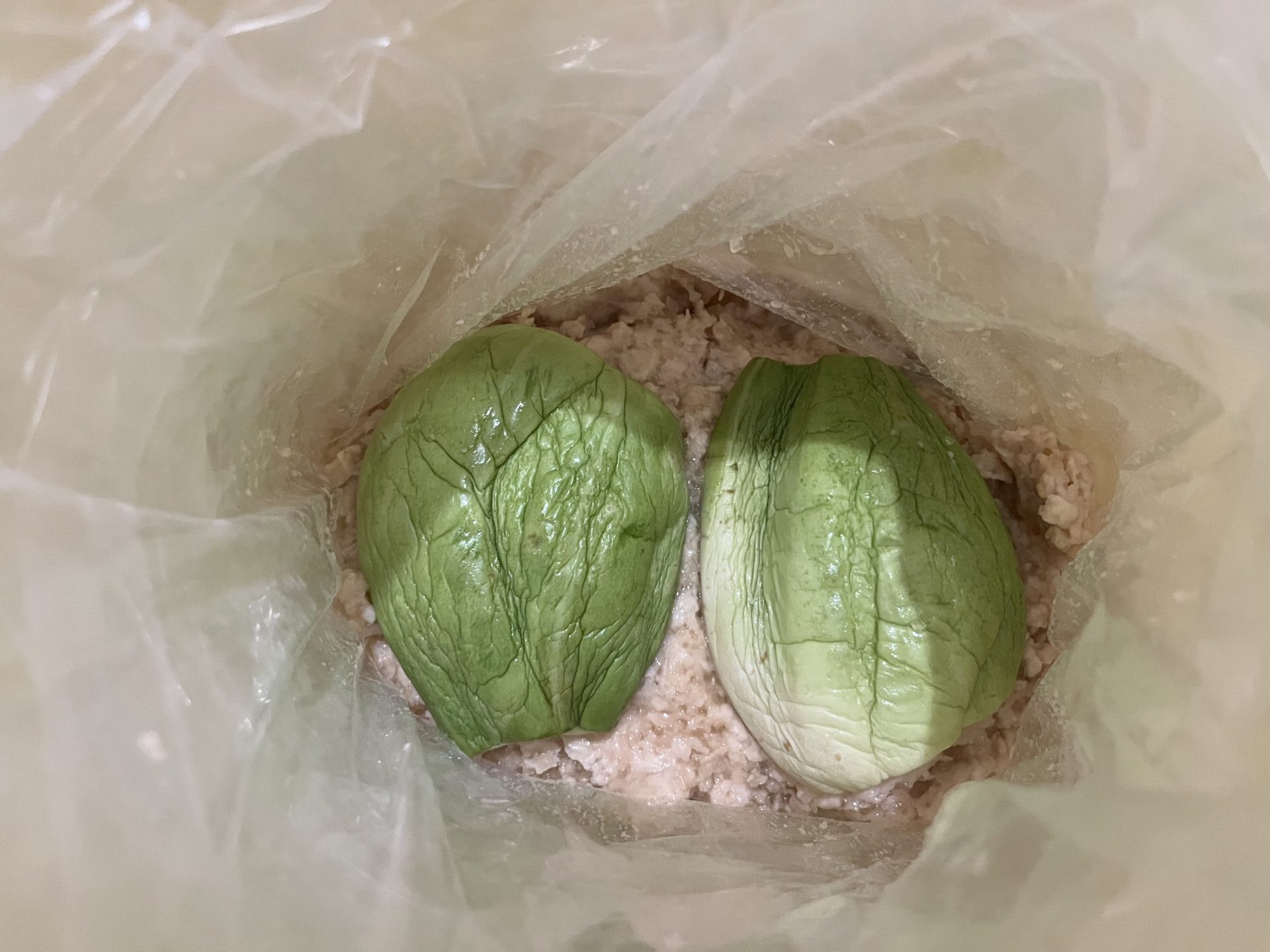 瓜と粕床を交互に詰めて漬ける