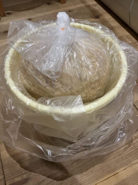 一年後のお楽しみ